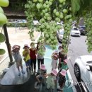 중흥2동행정복지센터 이미지