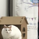 22.06.03~12 _ 모두가 블챌을 할 때 난 안하지