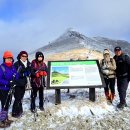 산들바람 이미지