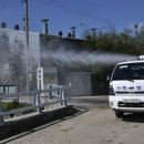 장수양돈 이미지