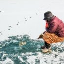 빙어 氷魚 외 이미지