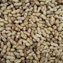 신두리농장 이미지