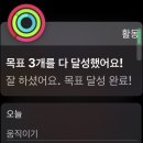 디오션피트니스 이미지