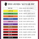 경희대 나래 태권도 이미지