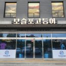 [영업] 제주자동차서비스노동조합 | 제주시횟집 모슬포고등어｜갈치조림 먹고 반했어요 (공항 10분 거리)