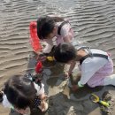 수도어촌계 | ⭐ 진산리어촌계 내돈내산｜아이들과 갯벌체험 내돈내산 솔직후기 (준비물·주차 정보)