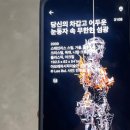비아점 현대자동차 | 리움미술관 이불 개인전 《이불: 1998년 이후》 + 고미술(M1) 《까치호랑이》 전시를 본 개인적이고...