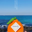 카카오 이미지