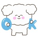 애견콜 네이버블로그