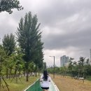 힛더트레일