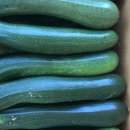 푸른상사 이미지