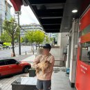 놀러오개 애견유치원 애견호텔 강남점 | [ 강남 애견유치원 ] 놀러오개 강아지유치원 놀이방