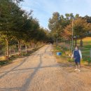 칠곡양떼목장 이미지