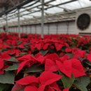 일산농장 이미지