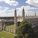 디엘디(DLD) 이미지