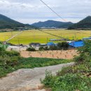 고금대교휴게소 이미지