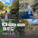 천제연폭포 관광안내소 | 제주 천제연폭포 입장료 주차 소요시간 중문 가볼만한곳