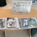 24시 당신의 동물의료센터 이미지