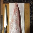 양식 Hamachi.. 이미지