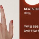 에뚜알네일