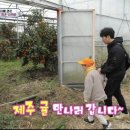 경환농장 이미지