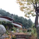 숲속 황토방 펜션 이미지