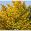 성지요양병원 이미지