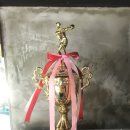 챔프복싱짐 이미지