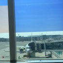 동이트는집 제주도여행1 (은이네해장국, 런던베이글, <b>동이</b><b>트는</b><b>집</b>, 덕인당, 삼대회관)