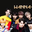 스타채널 이미지