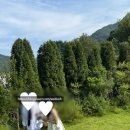 스튜디오 오브 | W8 : &#34;오브하우스&#34; 대전 웨딩 스튜디오 내돈내산 촬영후기