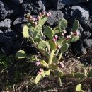 월령리 농어촌체험휴양마을 이미지