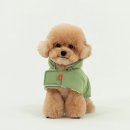 귀여운강아지 | 귀여운 겨울! 래핑찰리 강아지 패딩 케이프 후기