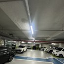 교하 꾸준히 다니기 좋은 필라테스 &lt;더함필라테스 운정초롱꽃점&gt;