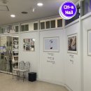 채아네일 이미지