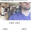 반여1동 창신자동차(70) | [진주 2종보통 운전면허 후기]창신자동차운전전문학원 필기,기능,도로주행 원트 합격