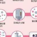 핑크젤리 이미지