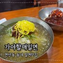 석정빌딩 | 부산밀면 가야할매밀면 연산동 동네 맛집 내돈내산