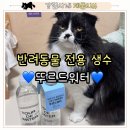 정수동물병원 | 고양이와 강아지 물 뭐먹일지 고민이라면? 뚜르드워터