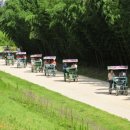 태화강대공원 대여소 이미지