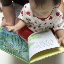 신나는독후활동 | [블루래빗 NEW 생생 자연관찰] 국립생물자원관 감수로 더 정확해진 유아 실사 전집 독후 활동 후기