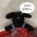 즐거운 블로그 *^^*