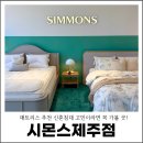 화이트 특급세탁 | 매트리스 추천 신혼침대 고민이라면 꼭 가볼 곳! 시몬스 제주점 방문 후기