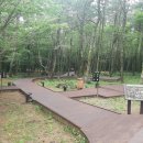 에코야영장 이미지