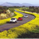 표선오일시장 이미지