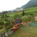 이병옥농장 이미지