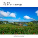 (주)해바라기 이미지