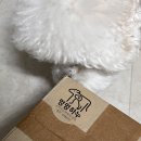 멍멍하누 이미지