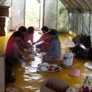 천화농장 이미지