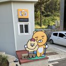 라이언 당구장 이미지